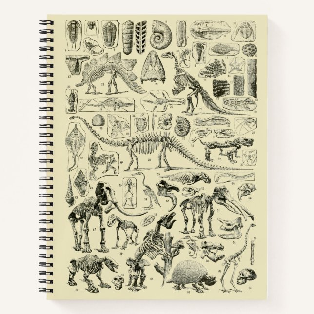 Cuaderno Arte de los fósiles óseos de los dinosaurios vinta (Anverso)