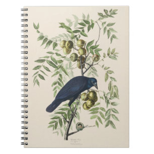 Cuaderno Arte de Naturaleza del Pájaro Cuervo Americano Vin