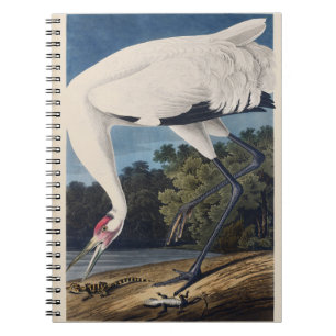 Cuaderno Arte de Naturaleza del Pájaro Grulla Trompetera Vi