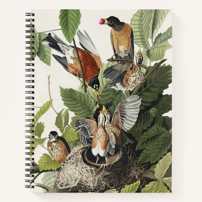 Cuaderno Arte de nido de pájaro Robin americano Audubon vin (Anverso)
