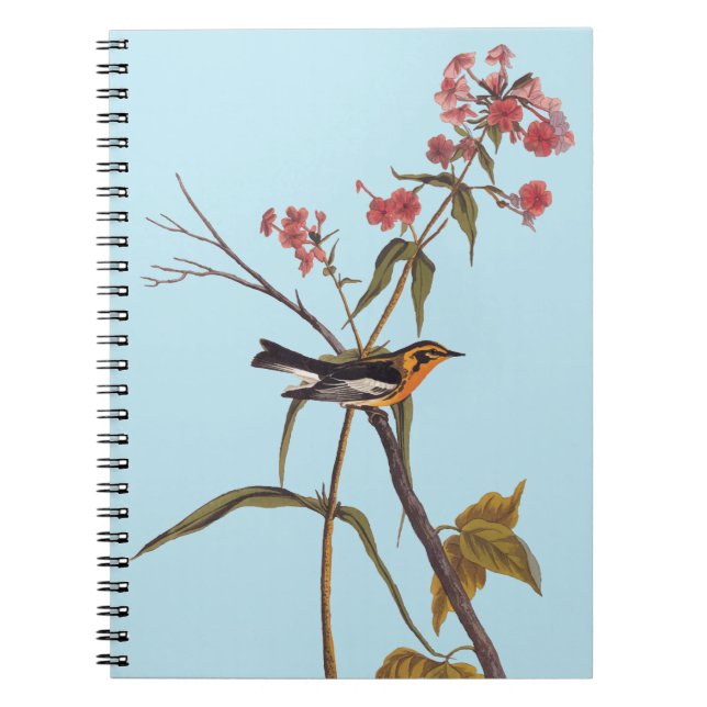 Cuaderno Arte de pájaro del pájaro del pájaro negro (Frente)