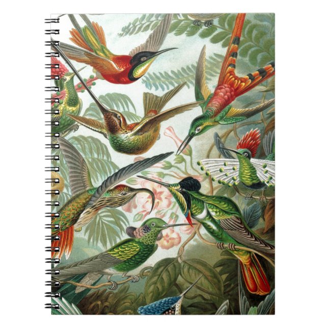Cuaderno Arte de Paraíso de las Aves (Frente)