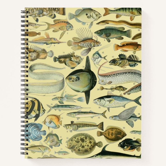Cuaderno Arte de pesca científica de peces de época (Anverso)
