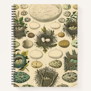 Cuaderno Arte de pintura de nido de huevo de pájaro vintage