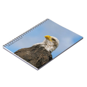 Cuaderno Arte de retrato de vida silvestre de águila calva