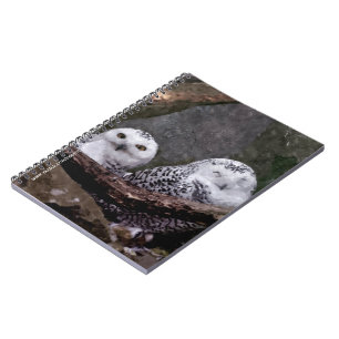 Cuaderno Arte de vida silvestre del bosque de pareja de búh