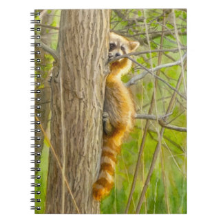 Cuaderno Arte en Acuarela de Mapache Espiando