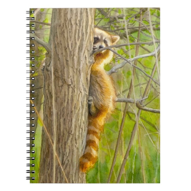 Cuaderno Arte en Acuarela de Mapache Espiando (Frente)