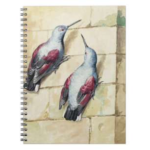 Cuaderno Arte en Acuarela de Pájaro Vintage Rojo y Gris