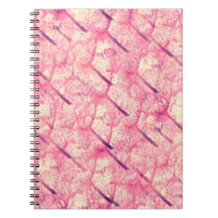 Cuaderno arte La acuarela rosa de la pintura tintada de col