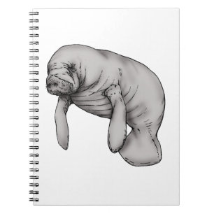 Cuaderno arte manatí