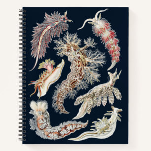 Cuaderno Arte Oceánico Vintage de Nudibranquios de Haeckel