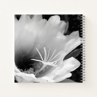 Cuaderno Arte original: "Cereus floración nocturna"