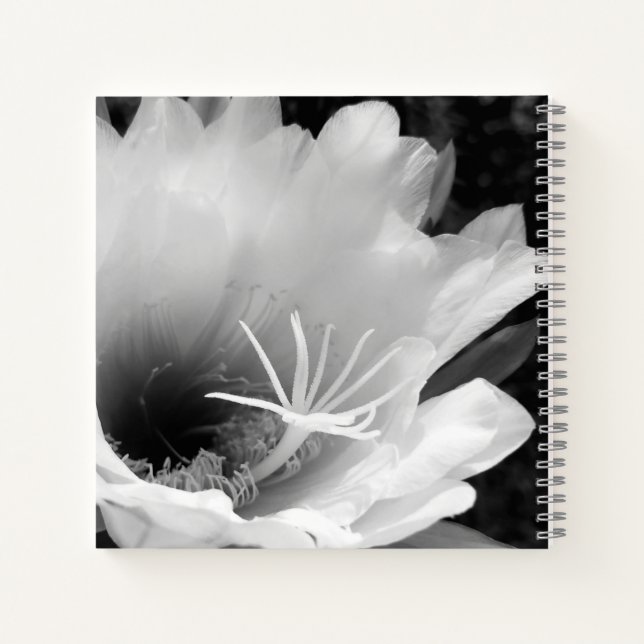 Cuaderno Arte original: "Cereus floración nocturna" (Reverso)