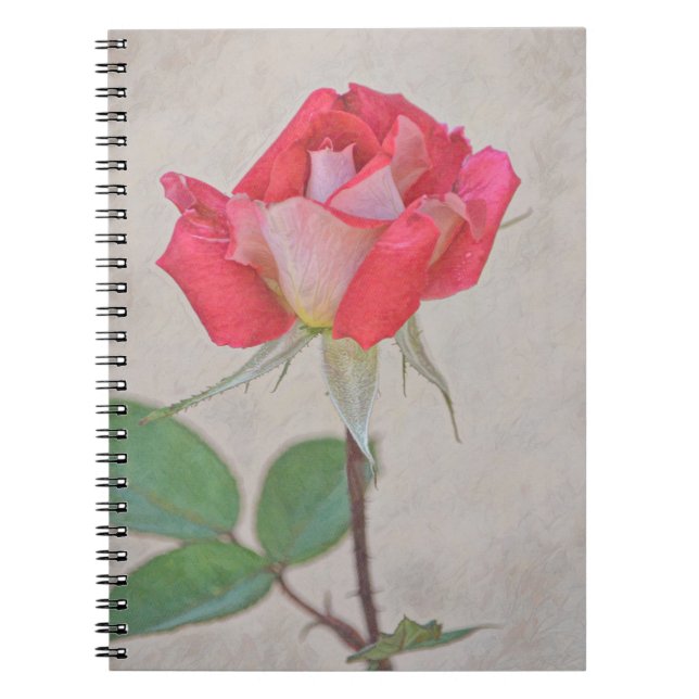Cuaderno Arte rosa rosa de bud de Gertie's Garden (Frente)