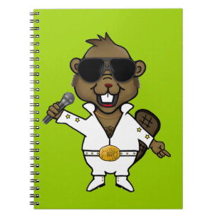 Cuaderno Artista de discoteca