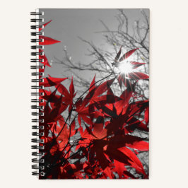 Cuaderno Ascuas de Otoño