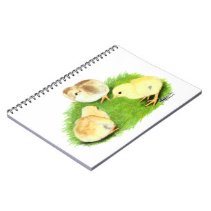 Cuaderno Aseel Wheaten Chicks