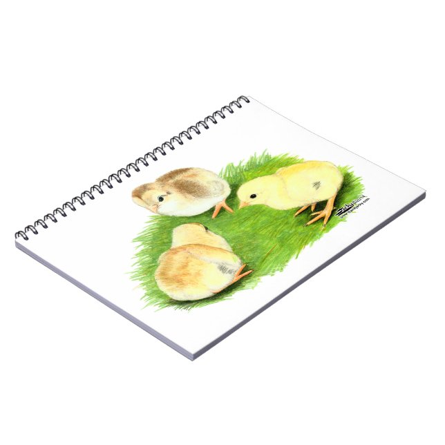Cuaderno Aseel Wheaten Chicks (Lado Izquierdo)