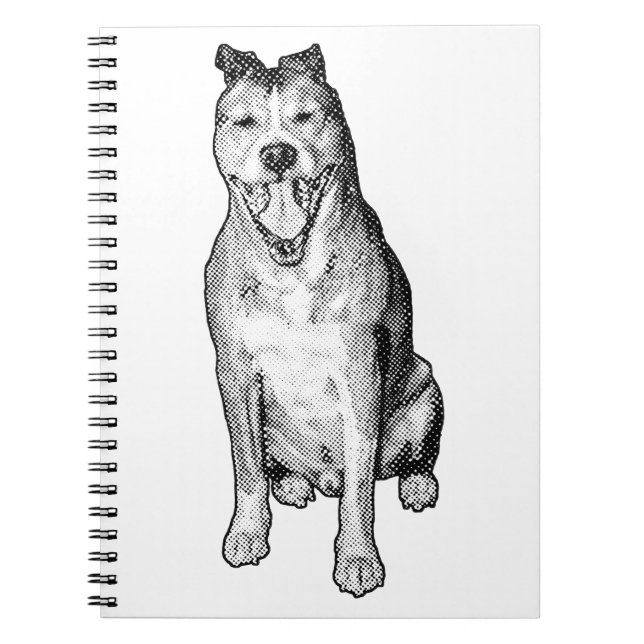 Cuaderno Asentado con puntos sombreados (Frente)