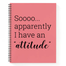 Así que aparentemente tengo una actitud divertida 