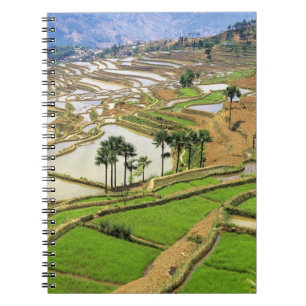 Cuaderno Asia, China, Yunnan, Honghe. Terrazas de arroz cer