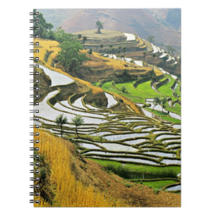Cuaderno Asia, China, Yunnan, prefectura de Yuxi; Yuanjiang