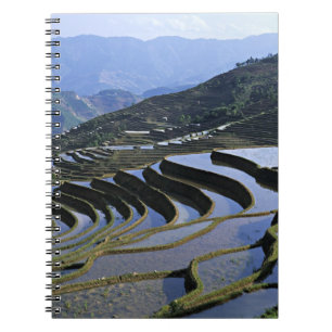 Cuaderno Asia, China, Yunnan, Yuanyang. Escarpado