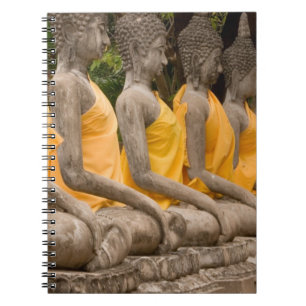 Cuaderno Asia, Tailandia, Siam, Budas en Ayutthaya