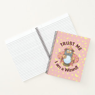 Cuaderno Asistente con bolas