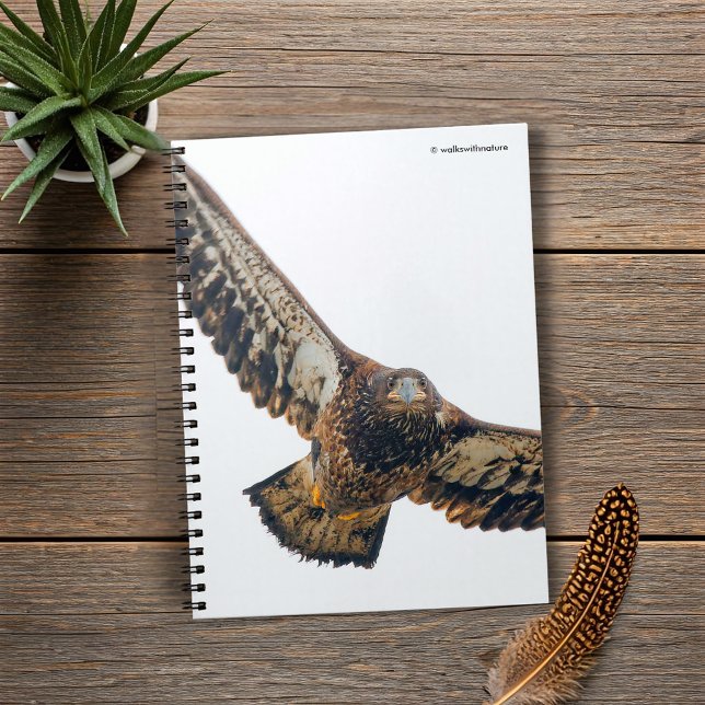 Cuaderno Asombroso águila calva viaja (Stunning Bald Eagle Does a Flyover Journal Cover Photo)