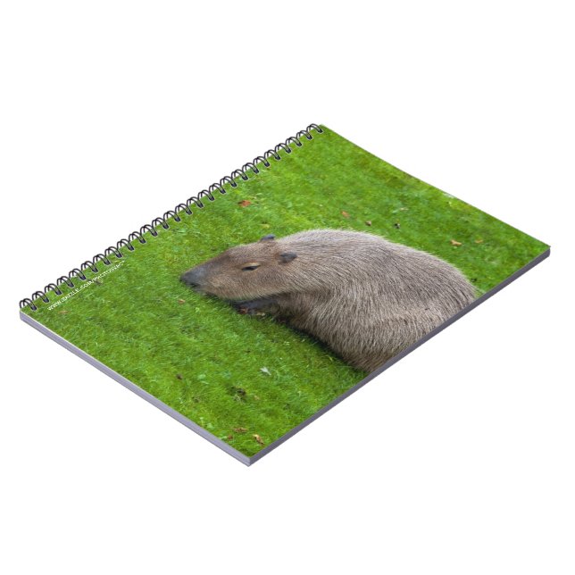 Cuaderno Asombroso capibara animal (Lado Izquierdo)