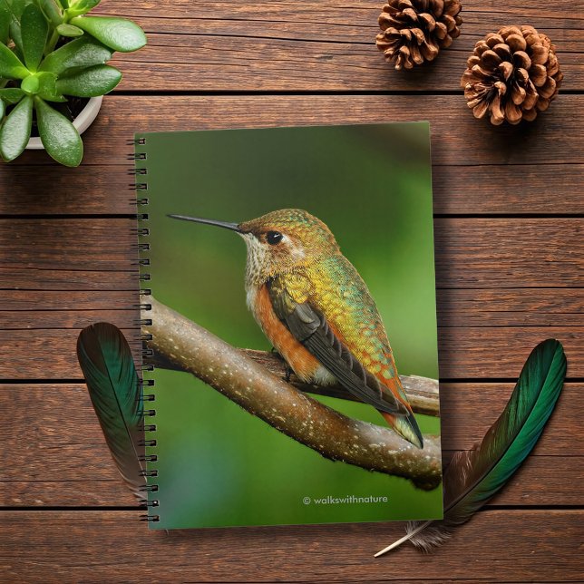 Cuaderno Asombroso colibrí rufoso en vides de wining (Stunning Rufous Hummingbird on Twining Vines Journal Cover Photo)