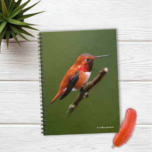 Cuaderno Asombroso colibrí Rufous en rama de cerezo