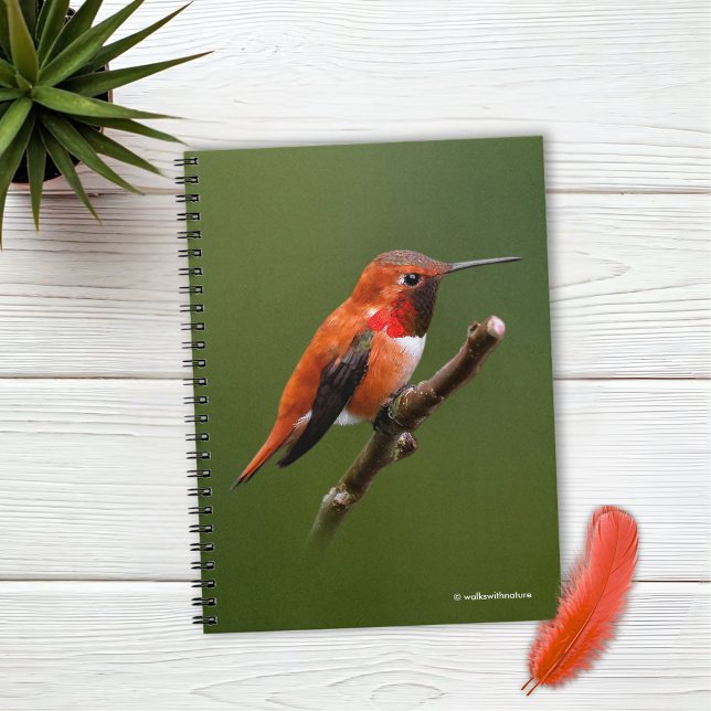 Cuaderno Asombroso colibrí Rufous en rama de cerezo (Stunning Rufous Hummingbird on the Cherry Tree Journal Cover Photo)