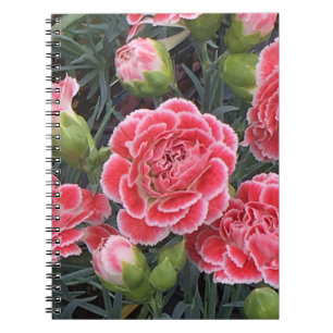 Cuaderno Asombroso Dianthus