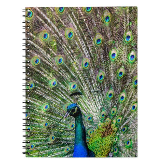 Cuaderno Asombroso Peacock y plumas accesorios de fotografí (Frente)