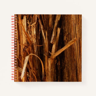 Cuaderno Aspecto de la corteza de madera con textura de ced