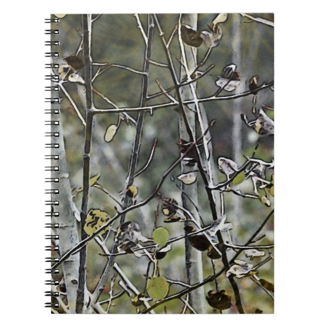 Cuaderno Aspen (Frente)