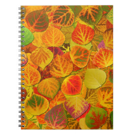 Cuaderno Aspen Deja Collage Sólido Medley 1