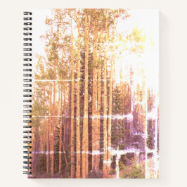 Cuaderno Aspen Grove con problemas