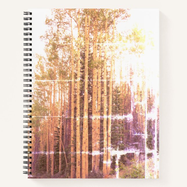Cuaderno Aspen Grove con problemas (Anverso)