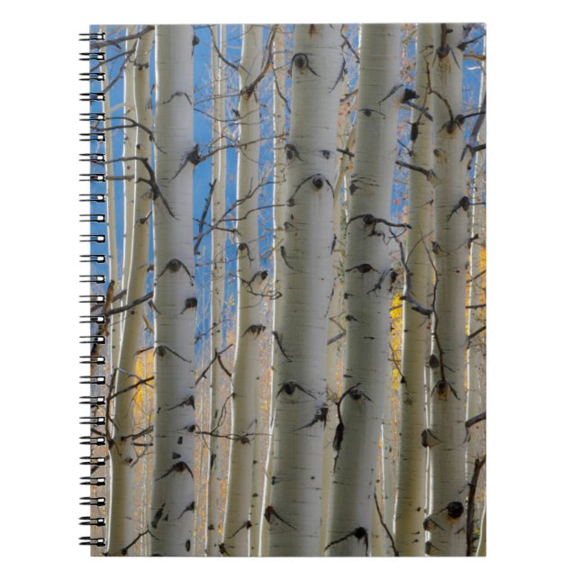 Cuaderno Aspen Groves | Montañas Rocosas de Colorado (Frente)