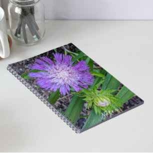 Cuaderno Aster floral de Purple Stoke