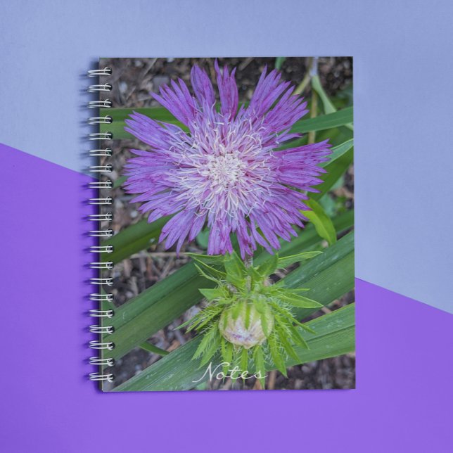 Cuaderno Aster floral de Purple Stoke (In Situ)