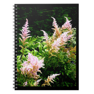 Cuaderno Astilbe