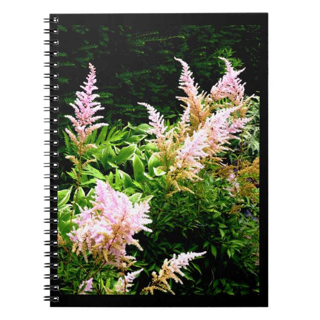 Cuaderno Astilbe (Frente)