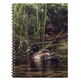 Cuaderno At Pond's Edge