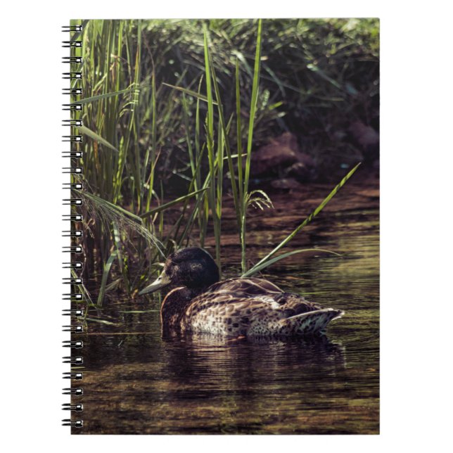 Cuaderno At Pond's Edge (Frente)