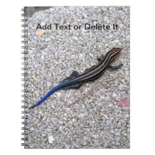 Cuaderno atado azul de Skink